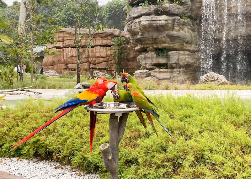 Day 2: Bird Paradise & Sentosa Island